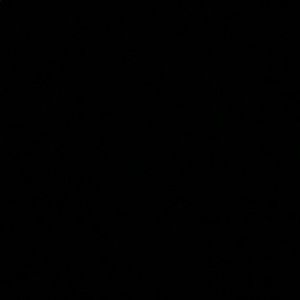 Meet your Posher, August